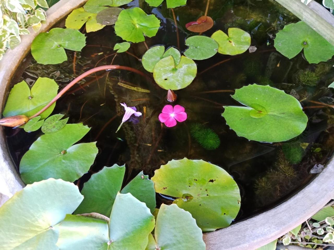 A Lanna Boutique House Chiang Mai Exterior foto